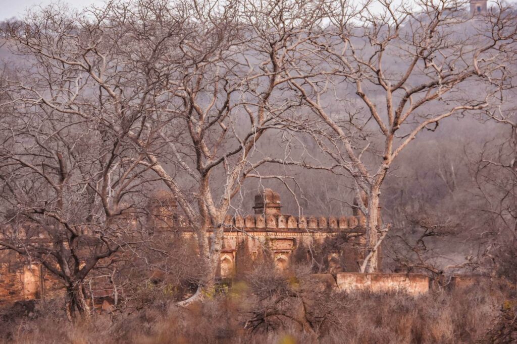 Raj Bagh Ruins Ranthambore