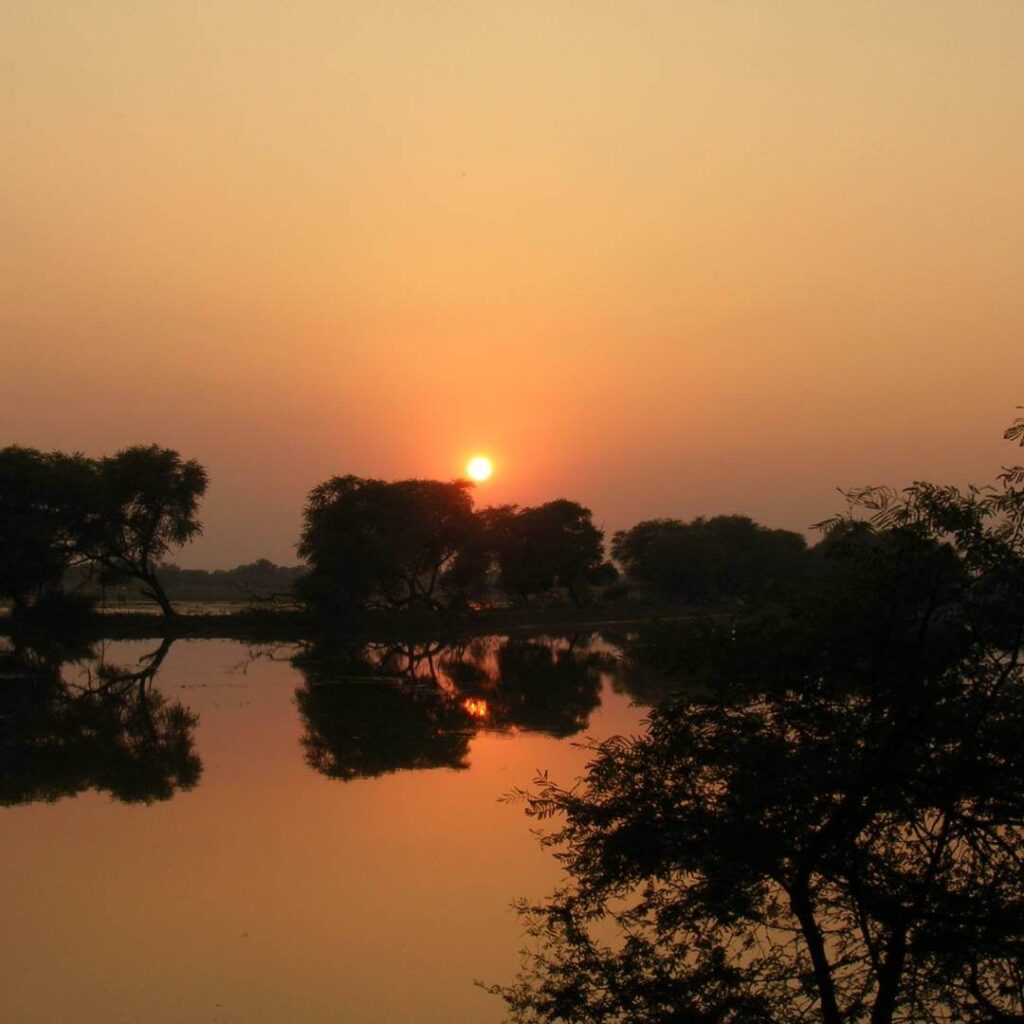 Keoladeo National Park Thumb