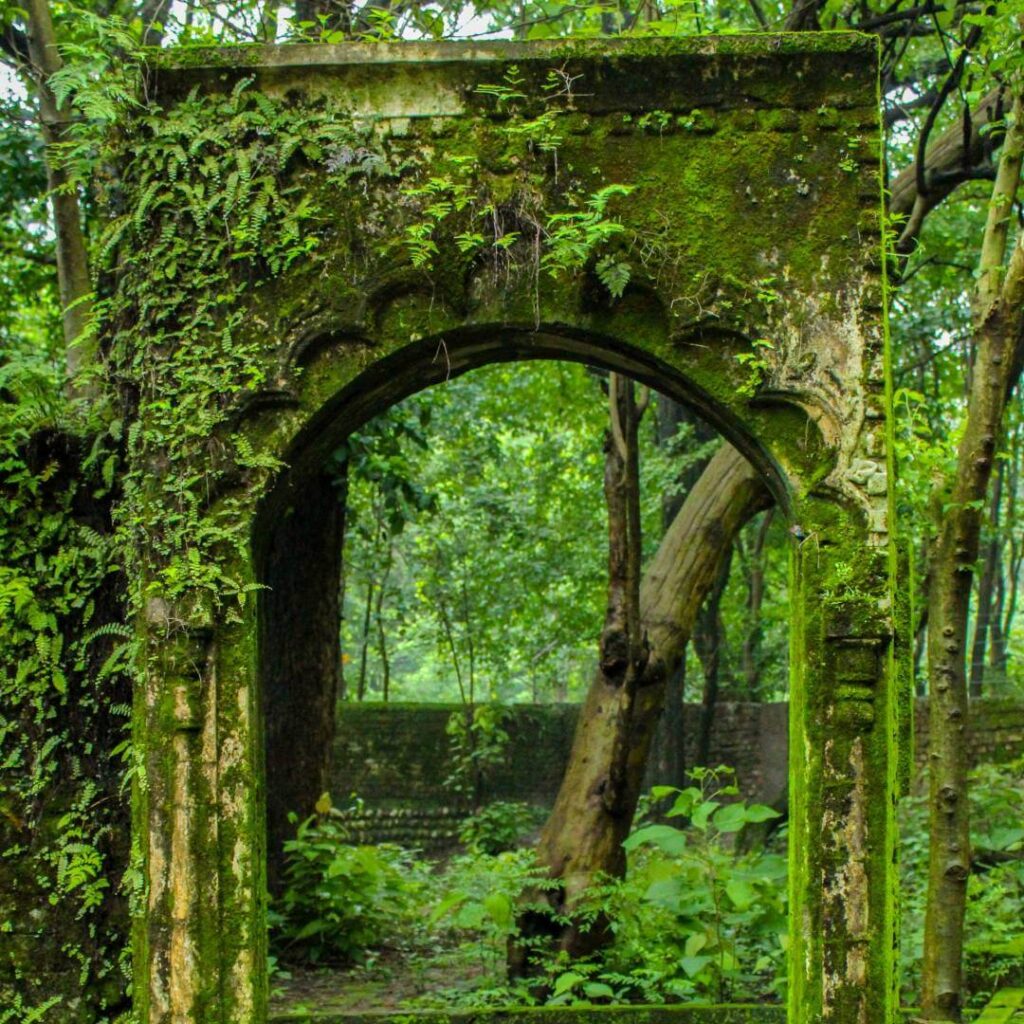 The Beatles Ashram Rishikesh Uttarakhand Thumb