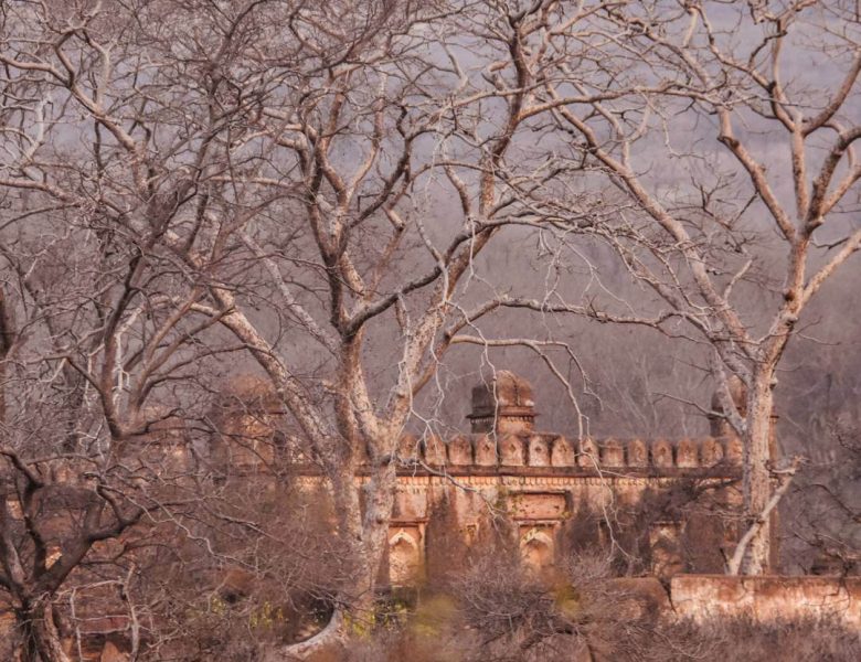 Raj Bagh Ruins Ranthambore