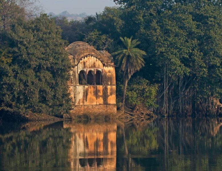 Rajbagh-Talao-Ranthambore.jpg